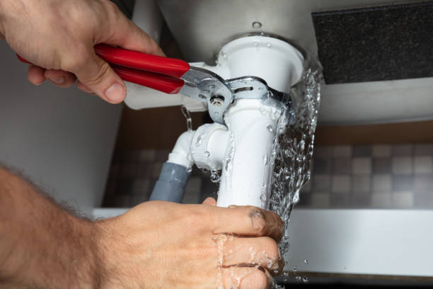 Best Basement water damage restoration  in Round Lake Park, IL