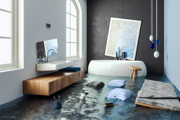 Best Flooded house restoration  in Round Lake Park, IL
