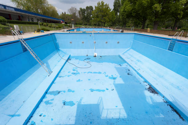 Best Mold removal after water damage  in Round Lake Park, IL