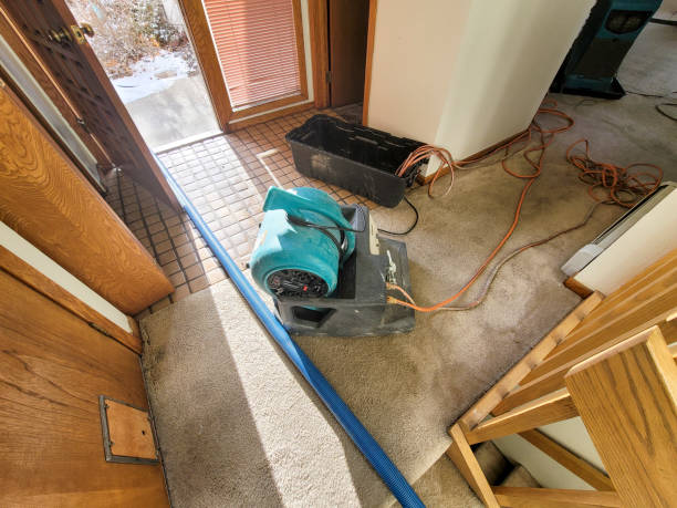 Best Professional water damage repair  in Round Lake Park, IL