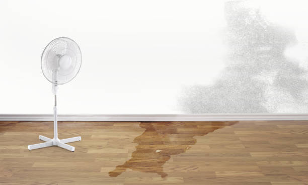 Best Water damage restoration near me  in Round Lake Park, IL