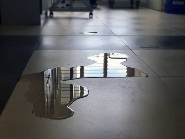 Best Water damage cleanup near me  in Round Lake Park, IL