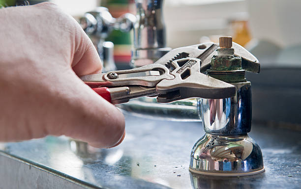 Best Flood damage cleanup  in Round Lake Park, IL
