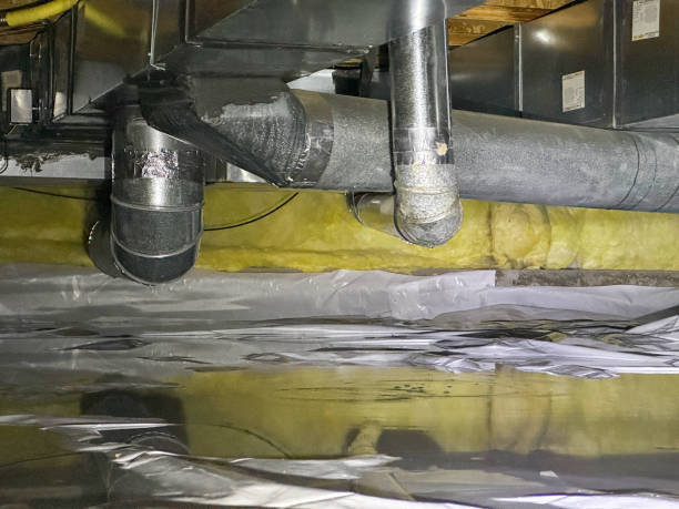 Best Water damage contractors near me  in Round Lake Park, IL