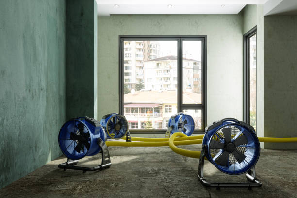 Water damage restoration experts in Round Lake Park, IL